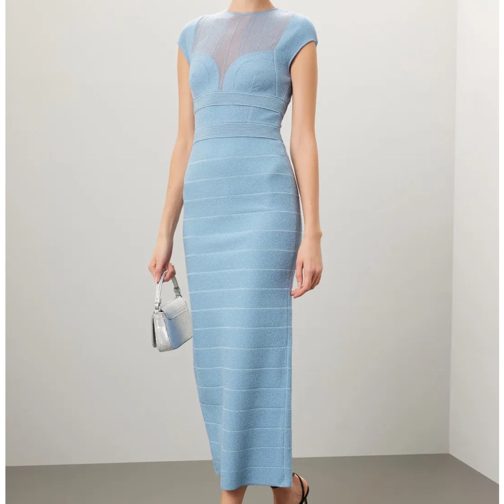 Herve Leger Sheer Bustier Gown